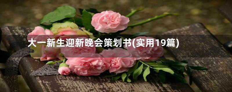 大一新生迎新晚会策划书(实用19篇)