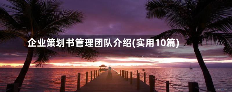 企业策划书管理团队介绍(实用10篇)