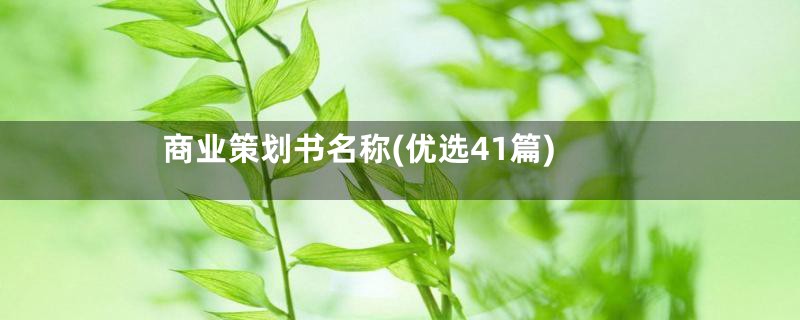 商业策划书名称(优选41篇)