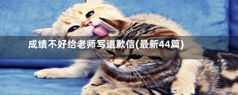 成绩不好给老师写道歉信(最新44篇)