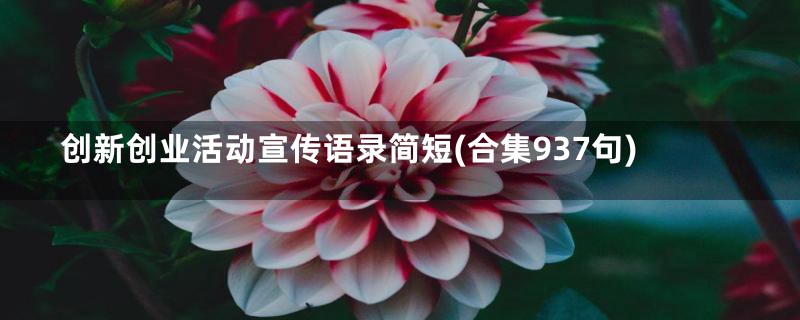 创新创业活动宣传语录简短(合集937句)