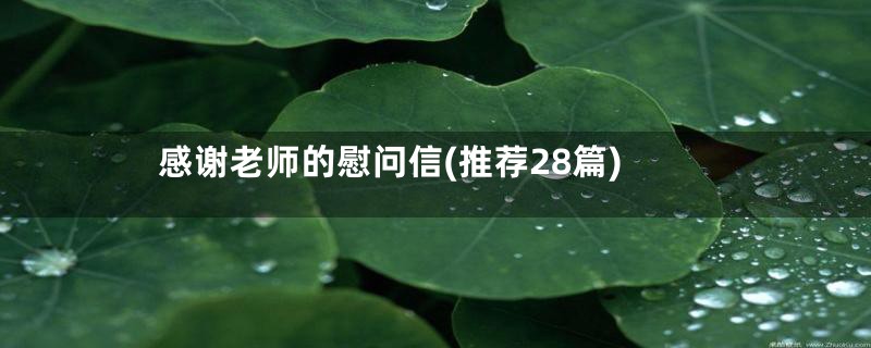 感谢老师的慰问信(推荐28篇)