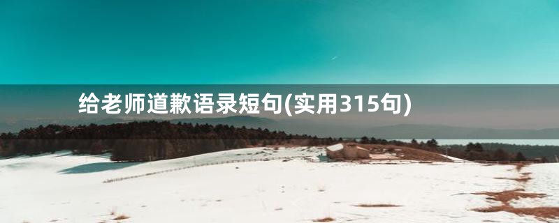 给老师道歉语录短句(实用315句)