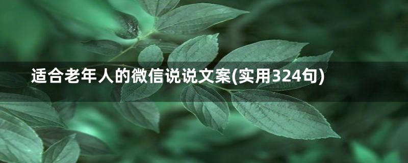 适合老年人的微信说说文案(实用324句)