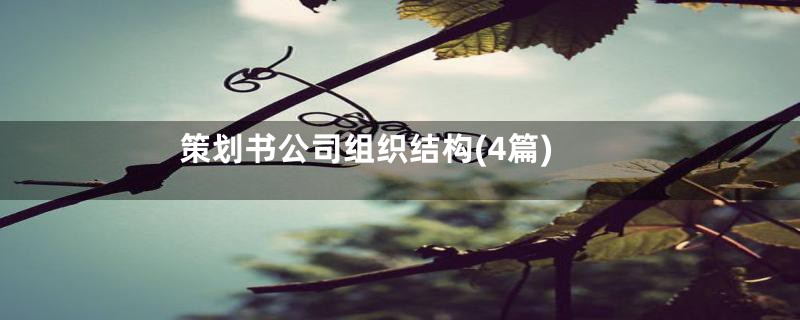 策划书公司组织结构(4篇)