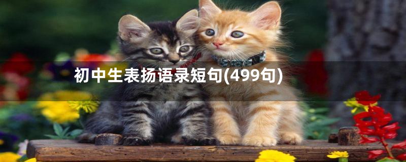 初中生表扬语录短句(499句)