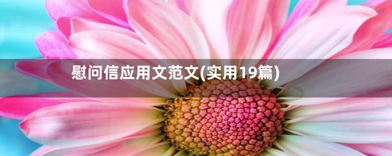 慰问信应用文范文(实用19篇)