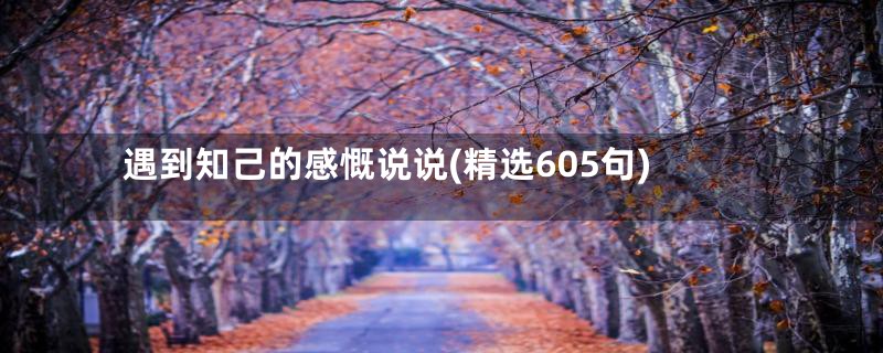 遇到知己的感慨说说(精选605句)