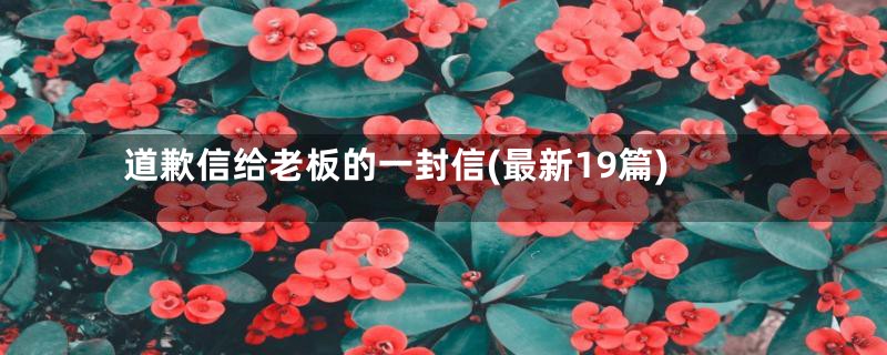 道歉信给老板的一封信(最新19篇)