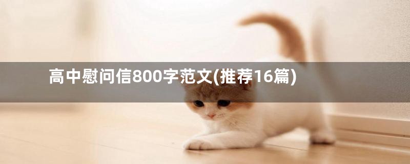 高中慰问信800字范文(推荐16篇)