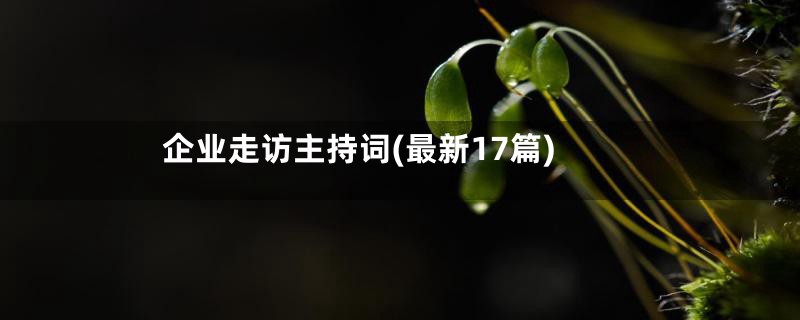 企业走访主持词(最新17篇)