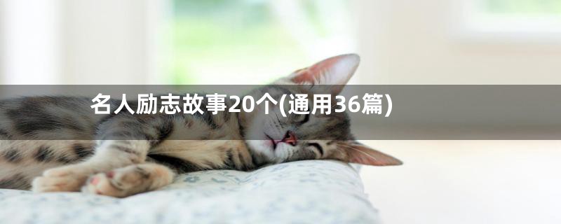 名人励志故事20个(通用36篇)