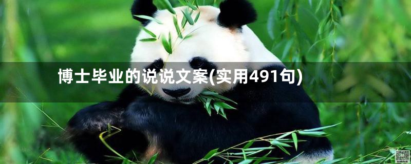 博士毕业的说说文案(实用491句)