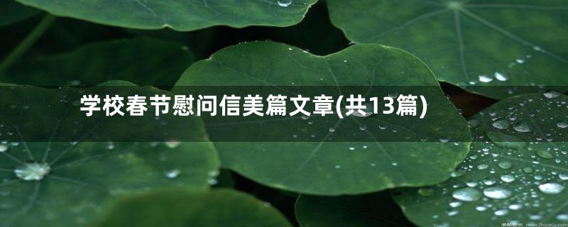 学校春节慰问信美篇文章(共13篇)