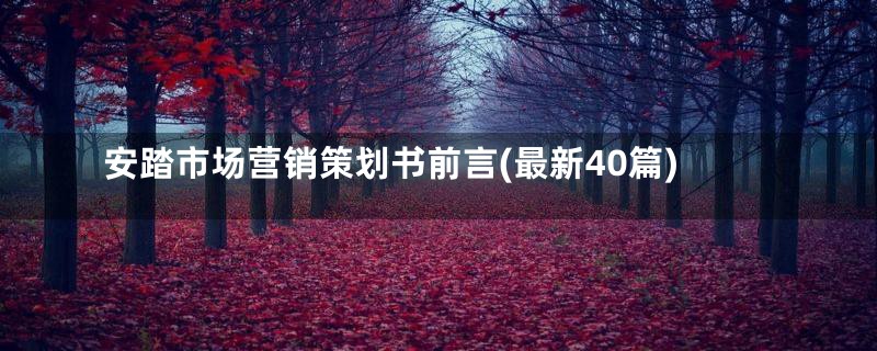 安踏市场营销策划书前言(最新40篇)