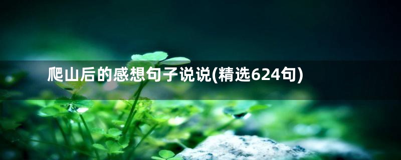 爬山后的感想句子说说(精选624句)