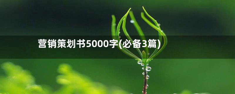 营销策划书5000字(必备3篇)