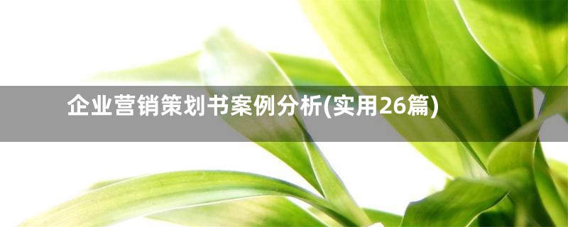 企业营销策划书案例分析(实用26篇)