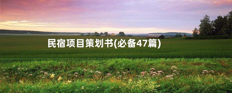 民宿项目策划书(必备47篇)