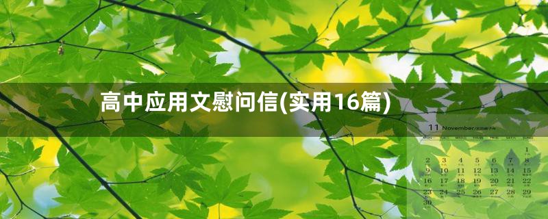 高中应用文慰问信(实用16篇)