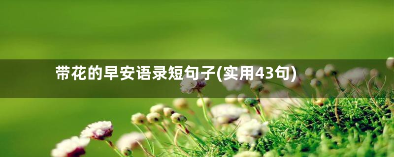 带花的早安语录短句子(实用43句)