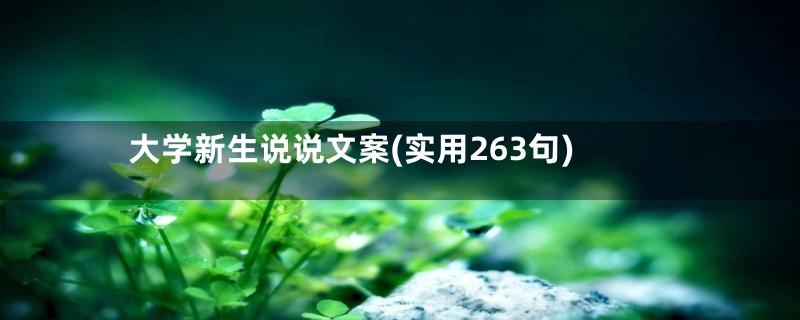 大学新生说说文案(实用263句)