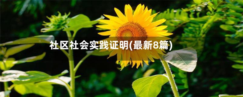 社区社会实践证明(最新8篇)