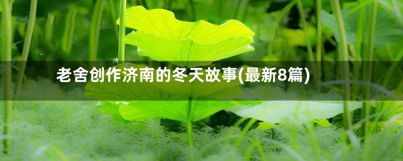 老舍创作济南的冬天故事(最新8篇)