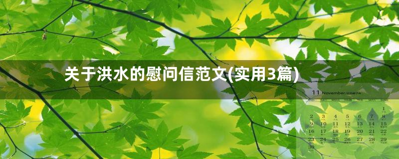 关于洪水的慰问信范文(实用3篇)