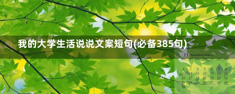 我的大学生活说说文案短句(必备385句)