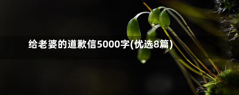 给老婆的道歉信5000字(优选8篇)