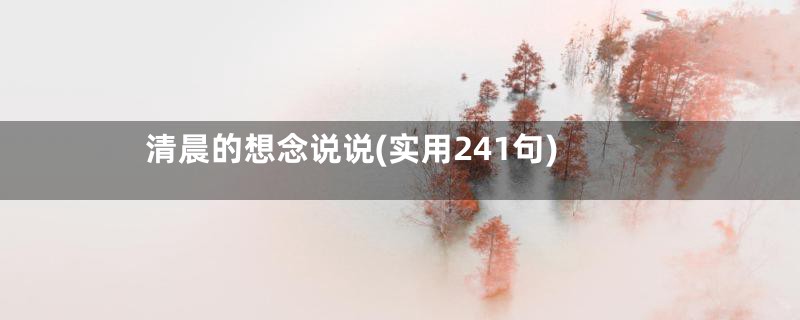 清晨的想念说说(实用241句)