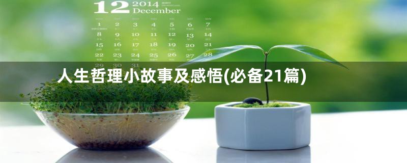 人生哲理小故事及感悟(必备21篇)