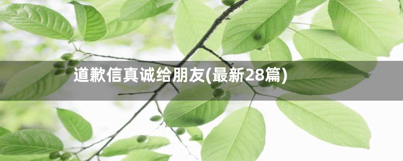 道歉信真诚给朋友(最新28篇)