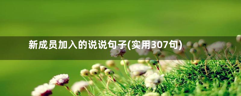 新成员加入的说说句子(实用307句)