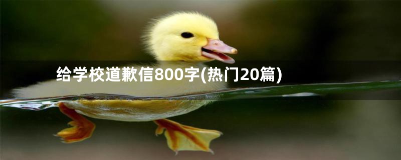 给学校道歉信800字(热门20篇)