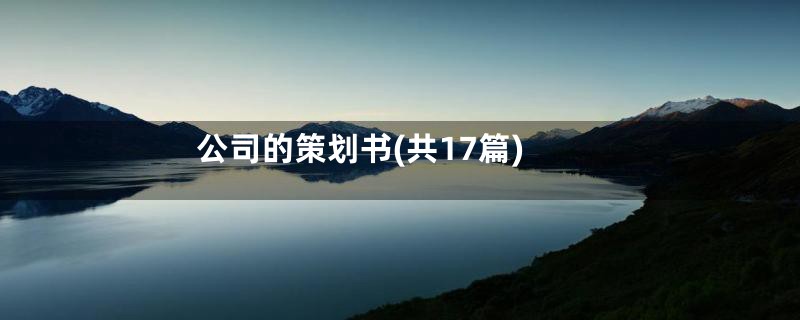 公司的策划书(共17篇)