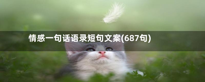 情感一句话语录短句文案(687句)