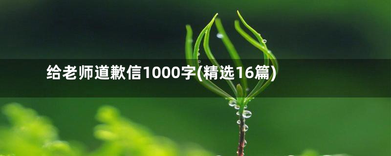 给老师道歉信1000字(精选16篇)