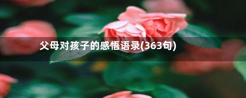 父母对孩子的感悟语录(363句)