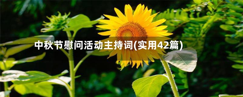 中秋节慰问活动主持词(实用42篇)