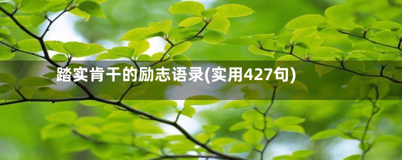 踏实肯干的励志语录(实用427句)