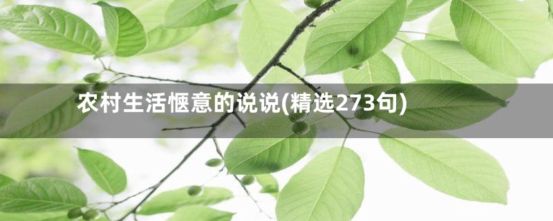 农村生活惬意的说说(精选273句)