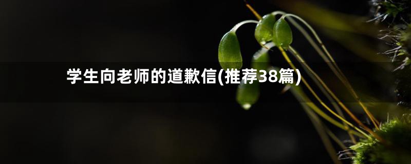 学生向老师的道歉信(推荐38篇)