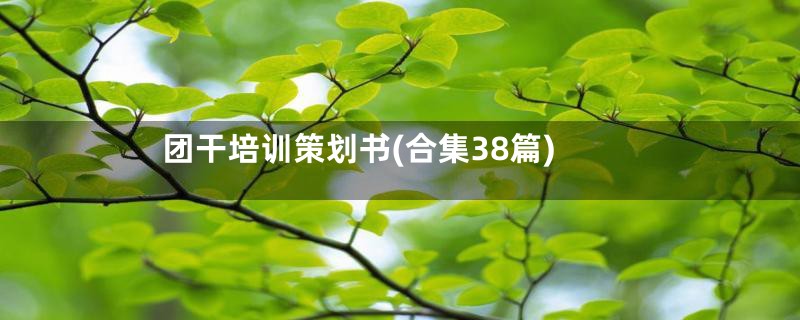 团干培训策划书(合集38篇)