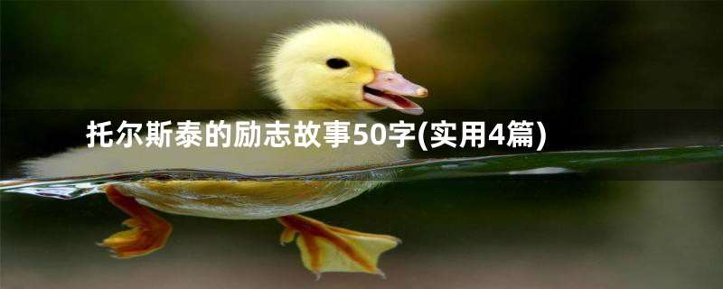 托尔斯泰的励志故事50字(实用4篇)