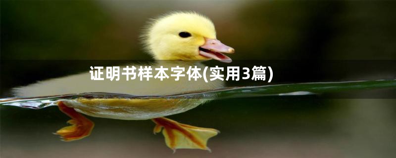 证明书样本字体(实用3篇)