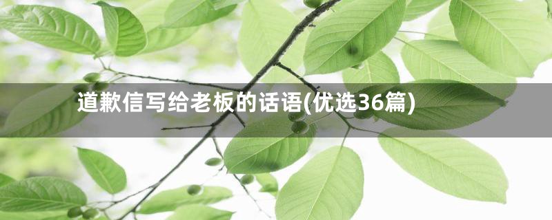 道歉信写给老板的话语(优选36篇)