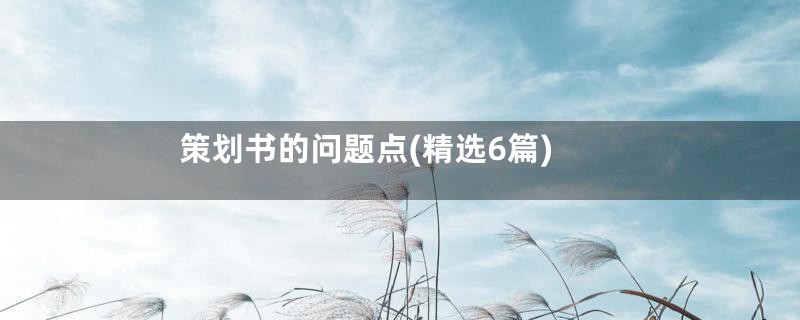 策划书的问题点(精选6篇)