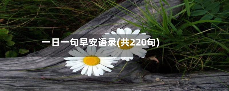 一日一句早安语录(共220句)